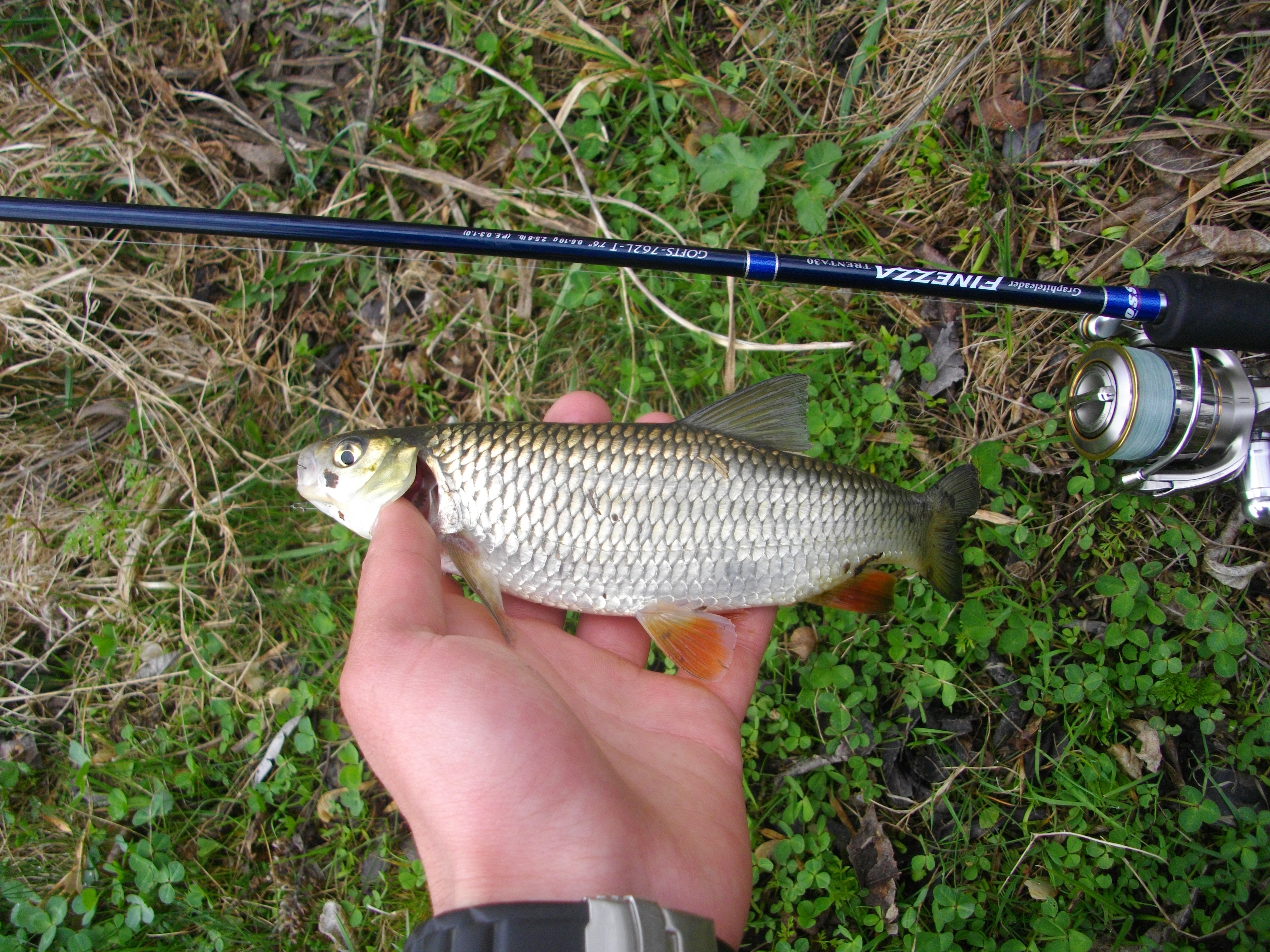 Graphiteleader Finezza Trenta30 762 UL-T.