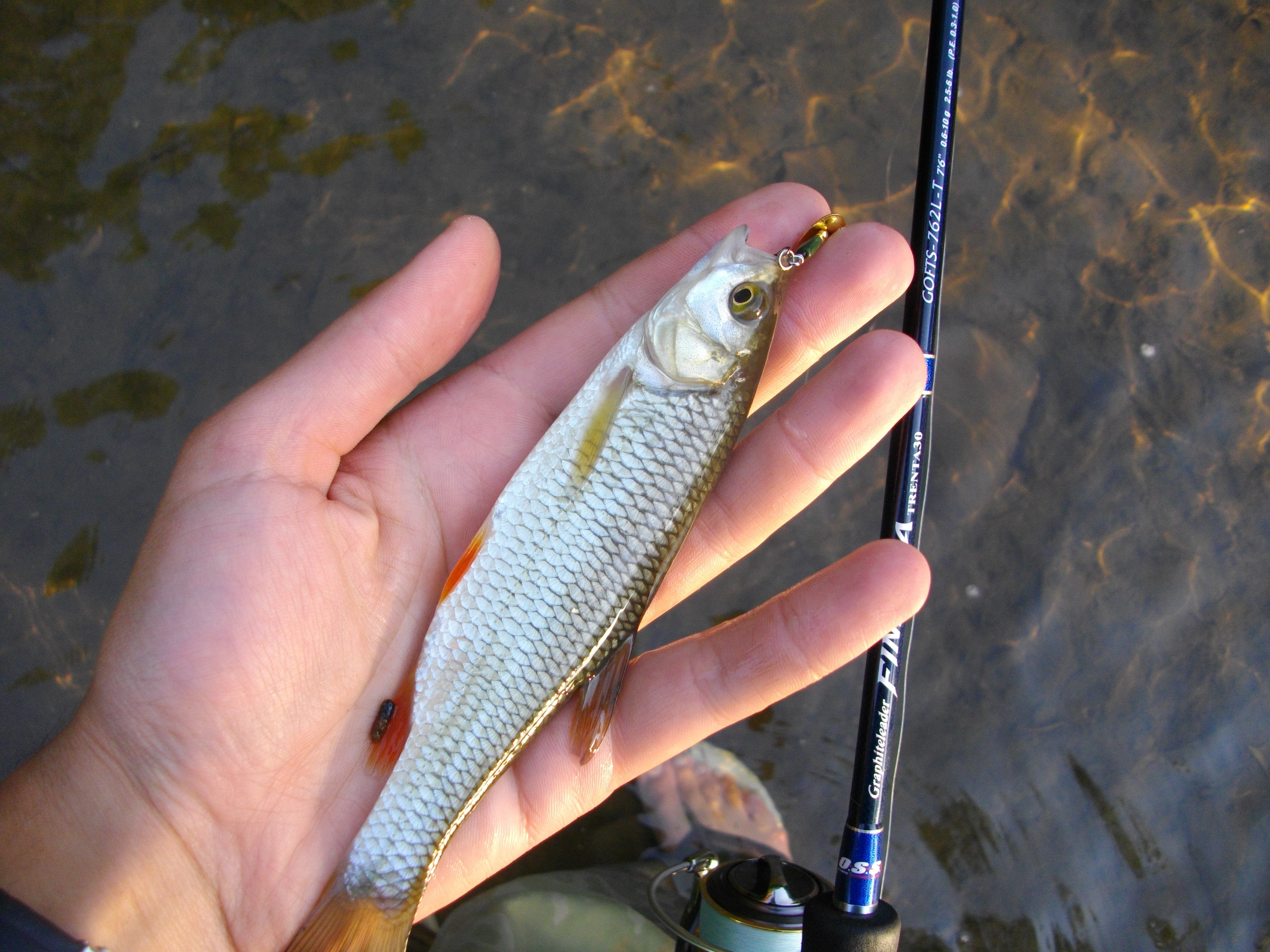 Graphiteleader Finezza Trenta30 762 UL-T.