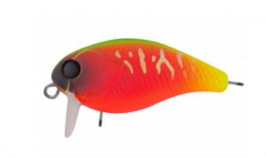 CHEF SSR 38F Fru (72959)