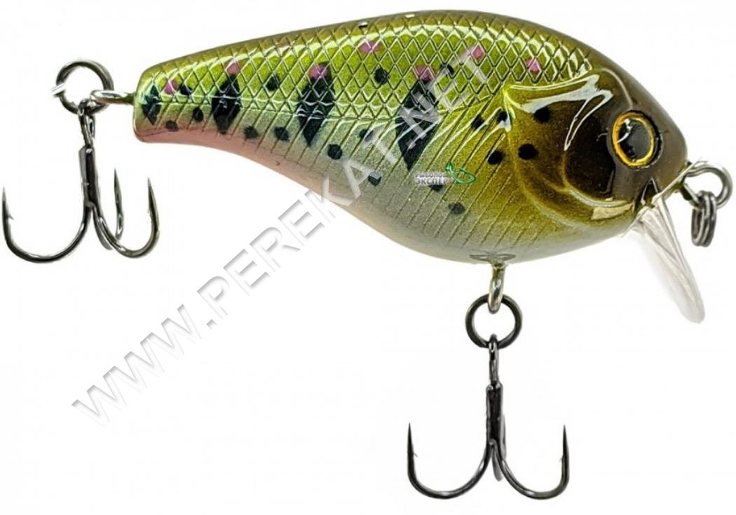 MACHO SR 42F 204 (73025)