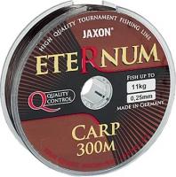 Леска ETERNUM CARP 0,32 300 м (10768)