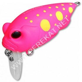 PLUG SSR 38F 040R (41274)