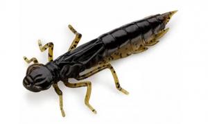 Силікон FishUp Dragonfly 1.2" (10pcs.), #043 - Watermelon Brown/Black (42824)