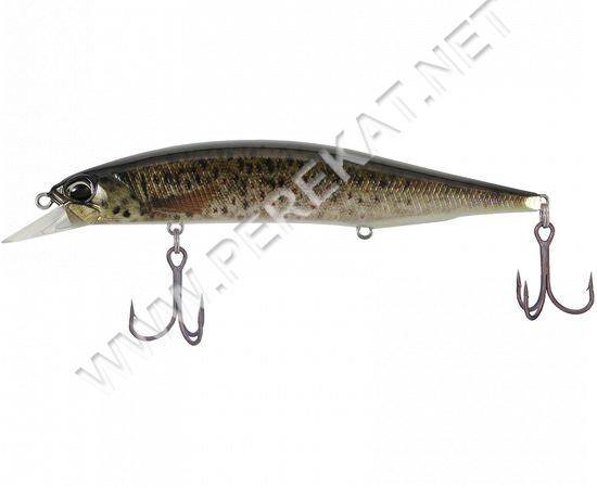 Воблер DUO Realis jb 120SP brown Trout ND