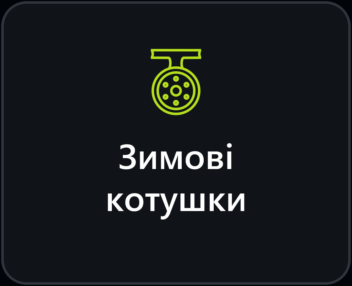 Зимові катушки