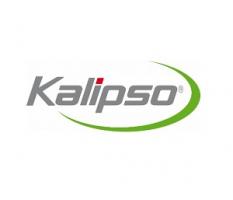 Цикада Kalipso Striker 14g 