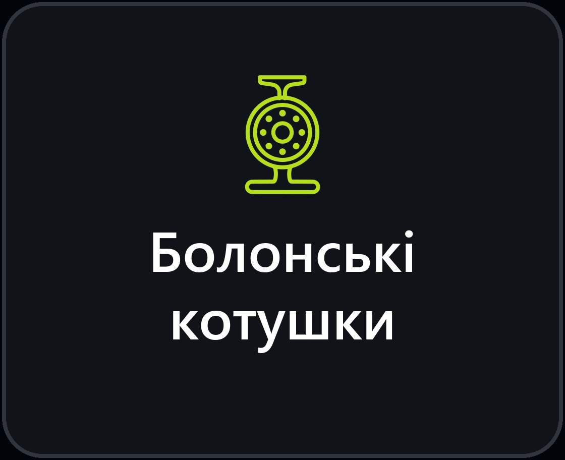 Болонські катушки