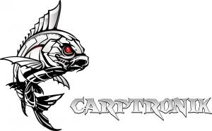 Carptronik