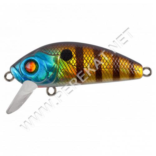 Tsuyoki Gnom 45SS K076