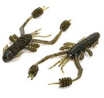 Ring Shrimp