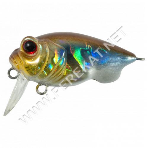 PLUG SSR 38F 200